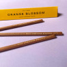 Lot de 6 crayons parfumés en cèdre ORANGE BLOSSOM - Imogen Owen